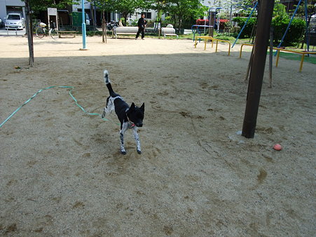 また動いたわ!