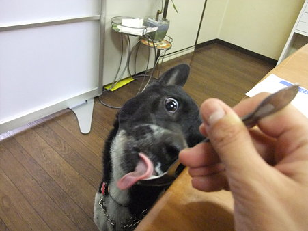 恐い・・・