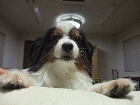 あんたの