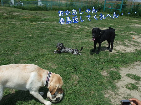 返してくれへん
