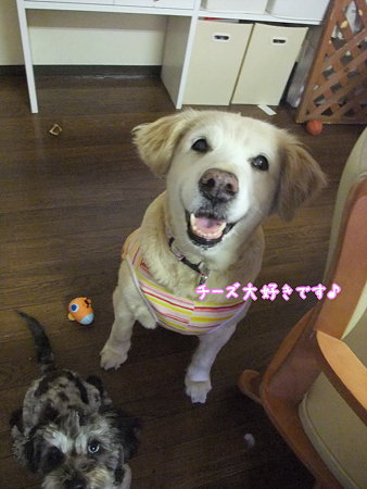 いっぺんに笑顔に