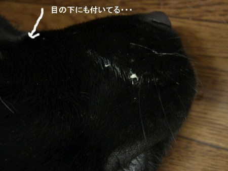 顔にまで~~