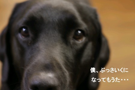 男前台無しや~