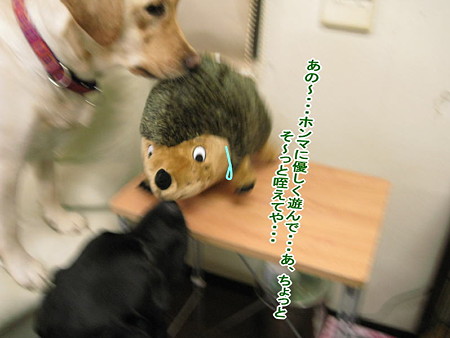 優しくしてください