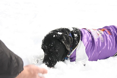 雪かけられる2