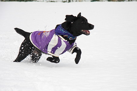雪~