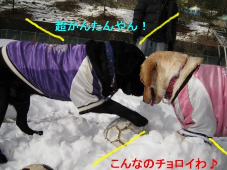 チョロイ