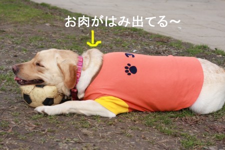 だらしない休み方