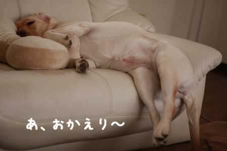 おかえり