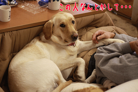 訴える目