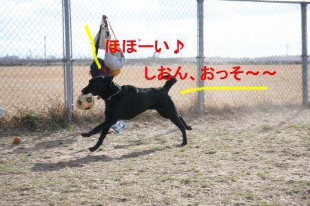 クズル嬢の勝ち!