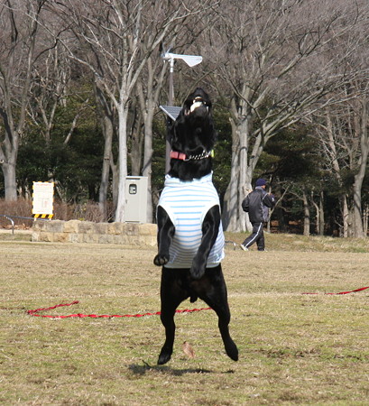 パクっ!