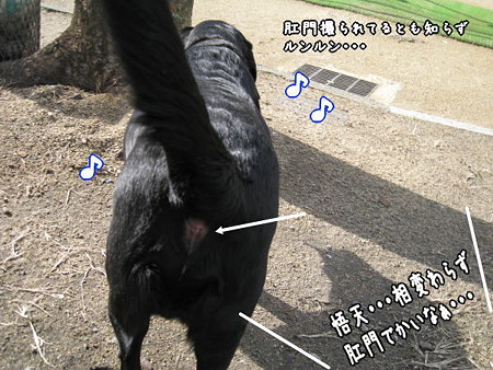 公園14