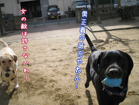 公園18