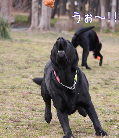 ボール遊び3