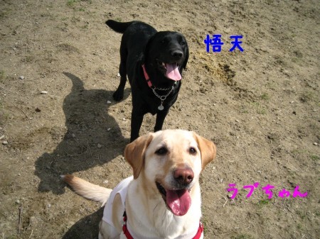 どっちも笑顔^^