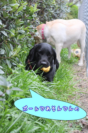 一人遊び