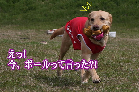 ボール?!