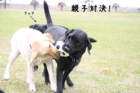 親子対決