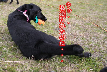 泣く
