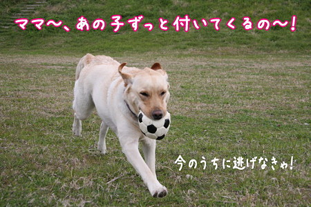 逃げろ!