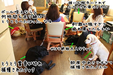 静かになった