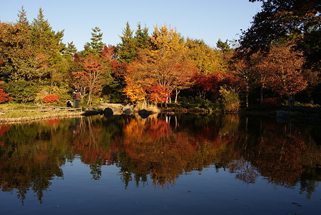日本庭園04