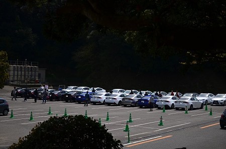 DSC_0318-1