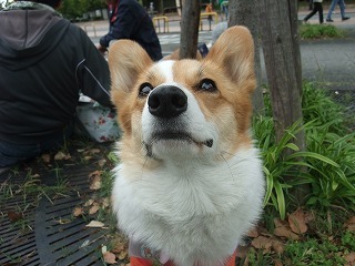 2009_0506日帰り大阪旅行0028