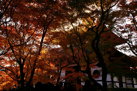 東福寺紅葉の経蔵1129x