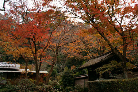 瑞泉寺の紅葉1220g