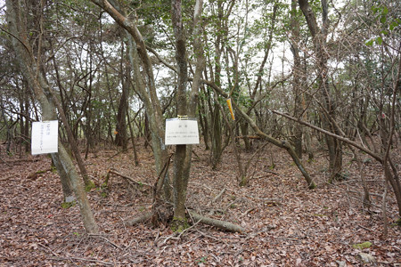 這田村法界寺山ノ上付城 - 01