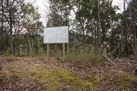 淀山城 - 09