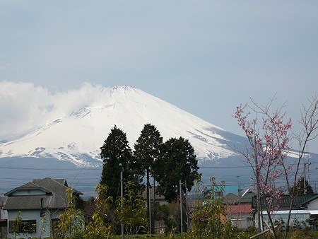 080329 002