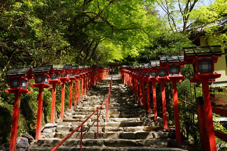 新緑の貴船神社