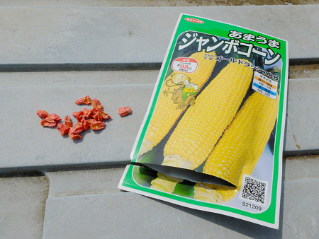 DSCF0379