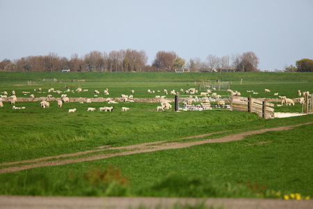 DPP_0760