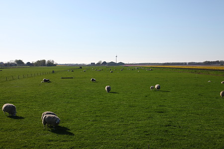 DPP_0759
