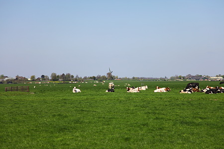 DPP_0734