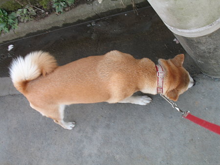 img 353