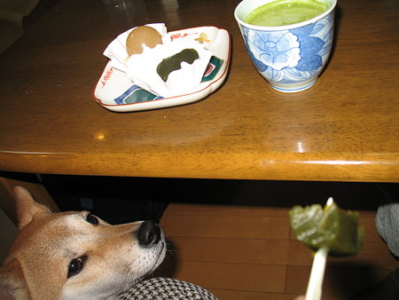 img 385