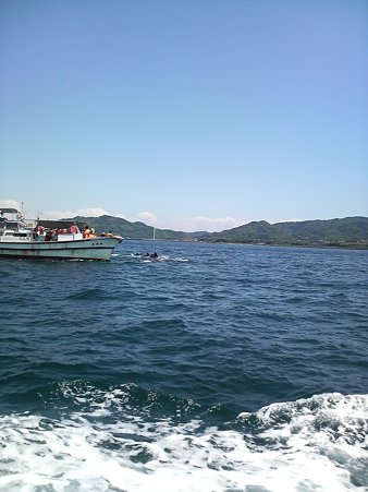 P1000094