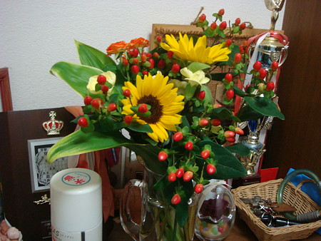 DSC02218