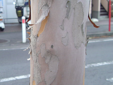 DSC00101