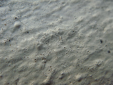 DSC01016