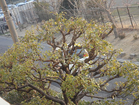 DSC01013