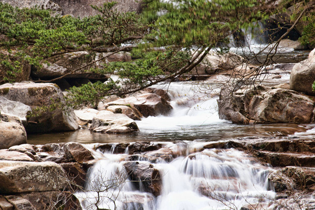 _MG_1985