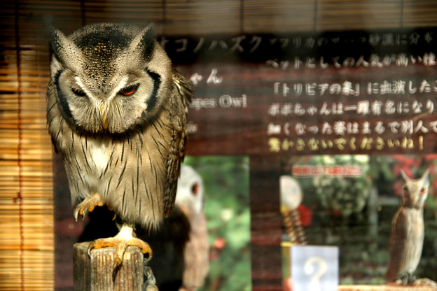 修行中