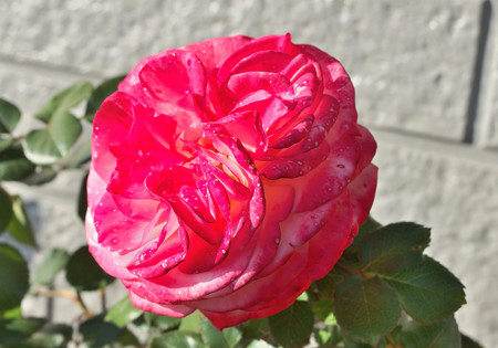P5010002