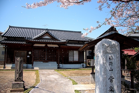 桜吹雪の寺